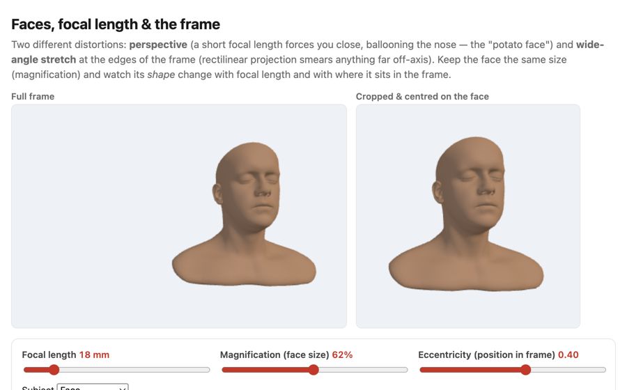 fig-face-distortion-sim