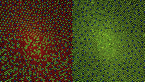 fig-cone-mosaic