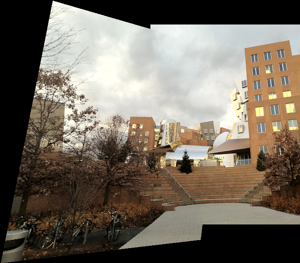 Planar mosaic stitched from a homography