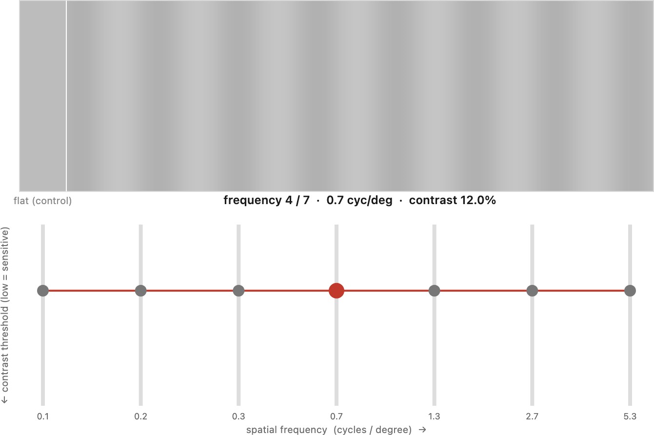 fig-csf-experiment