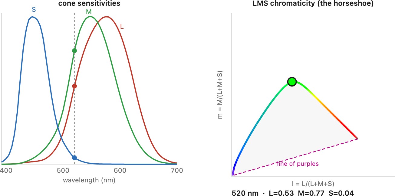fig-lms-horseshoe
