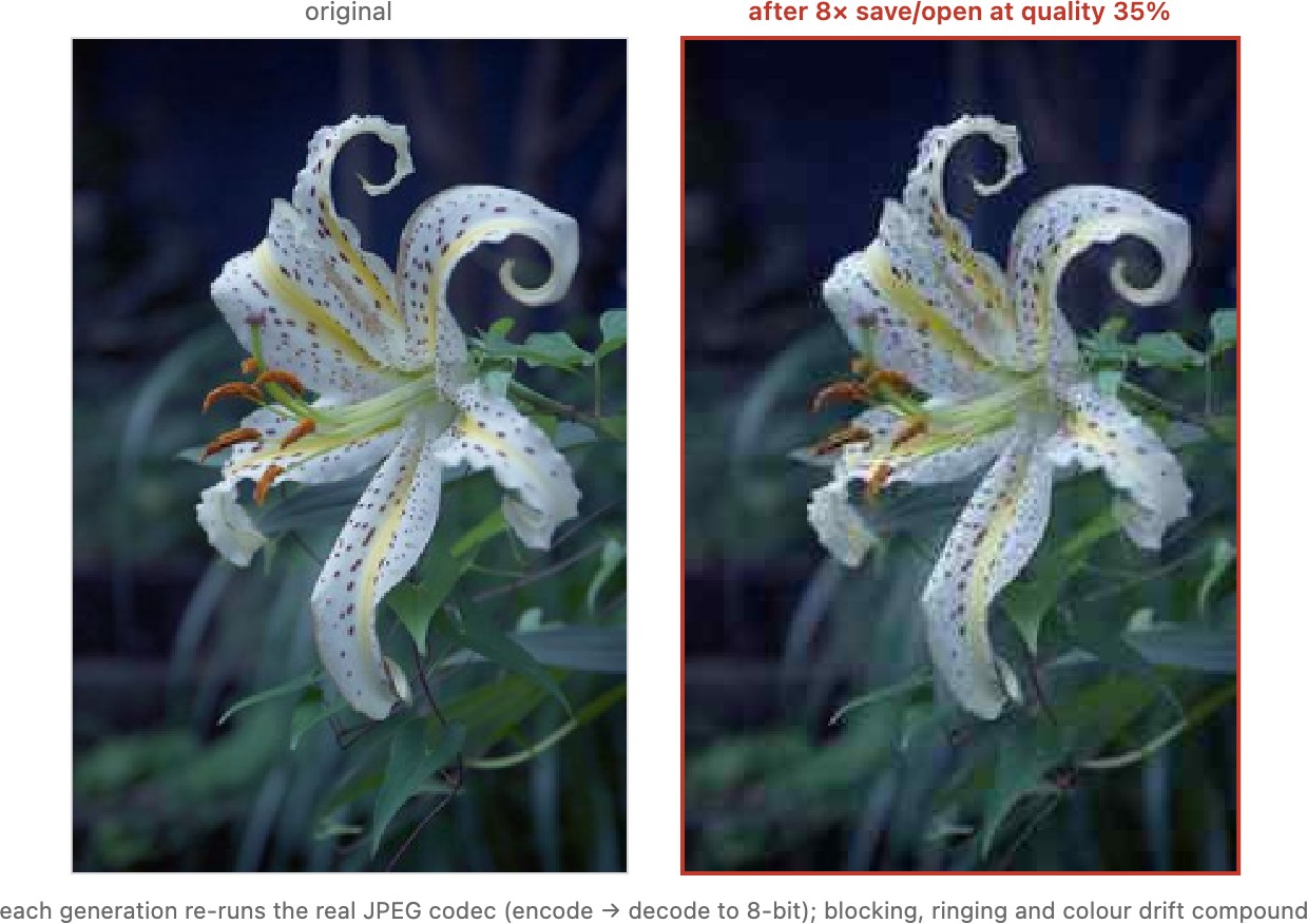 fig-jpeg-generation-loss