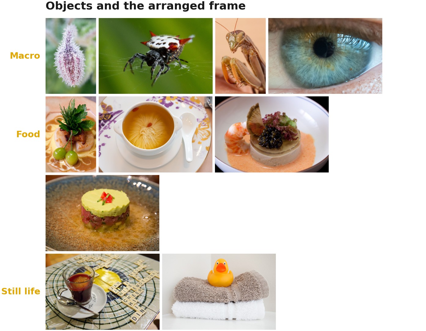 fig-photo-types-objects