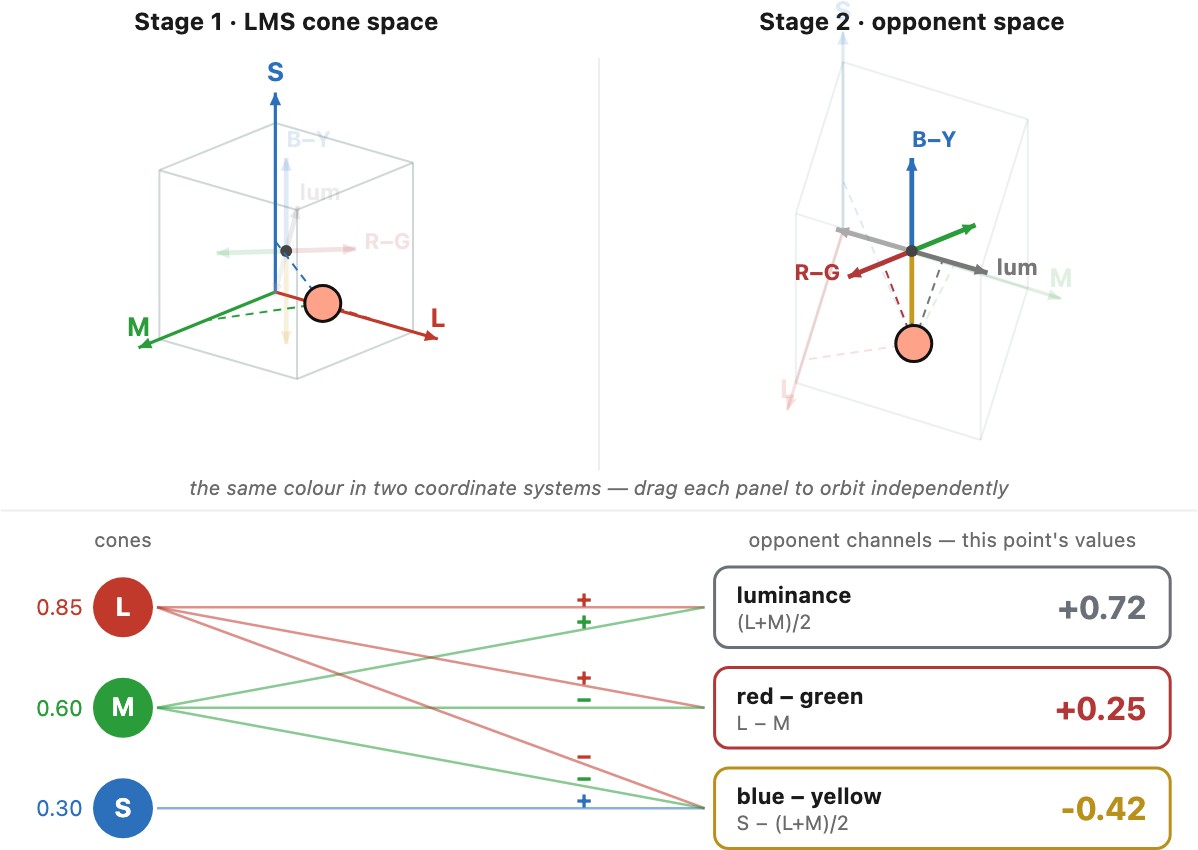 fig-lms-opponent-3d