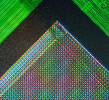 fig-photosite-micrograph